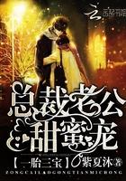 一胎三宝总裁老公超甜宠txt